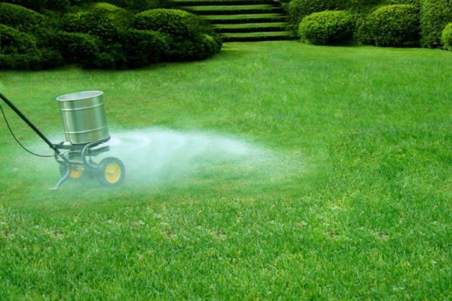 Lawn Fertilization and Maintenance